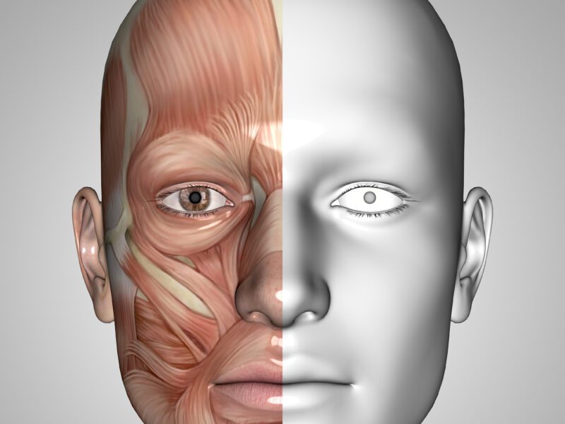 Modulation of vestibulo-ocular reflex gain-symmetry induced by osteopathic manipulations on the fascial system in young healthy subjects