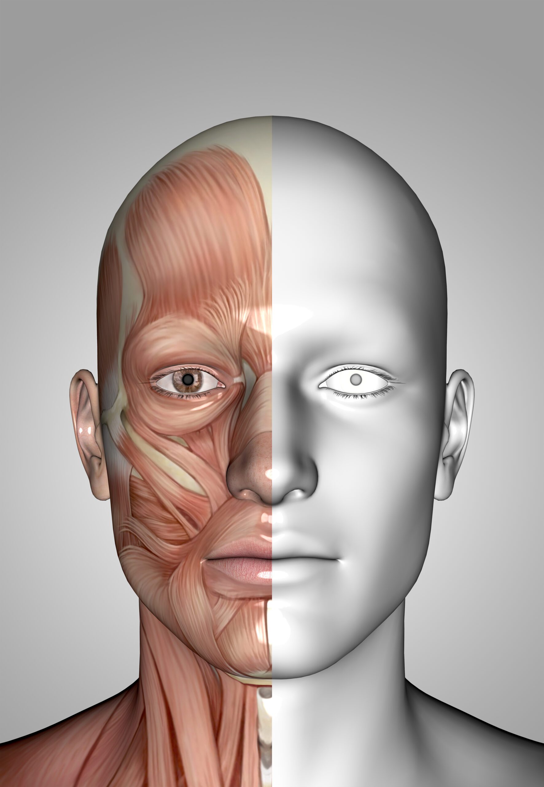 Modulation of vestibulo-ocular reflex gain-symmetry induced by osteopathic manipulations on the fascial system in young healthy subjects